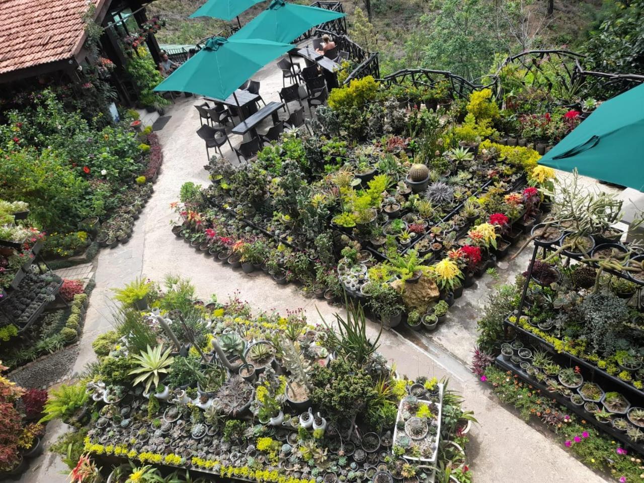 Ella Flower Garden Resort Экстерьер фото