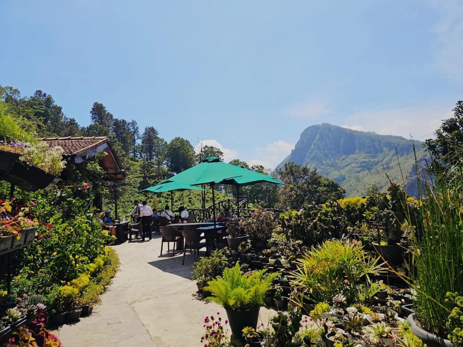 Ella Flower Garden Resort Экстерьер фото