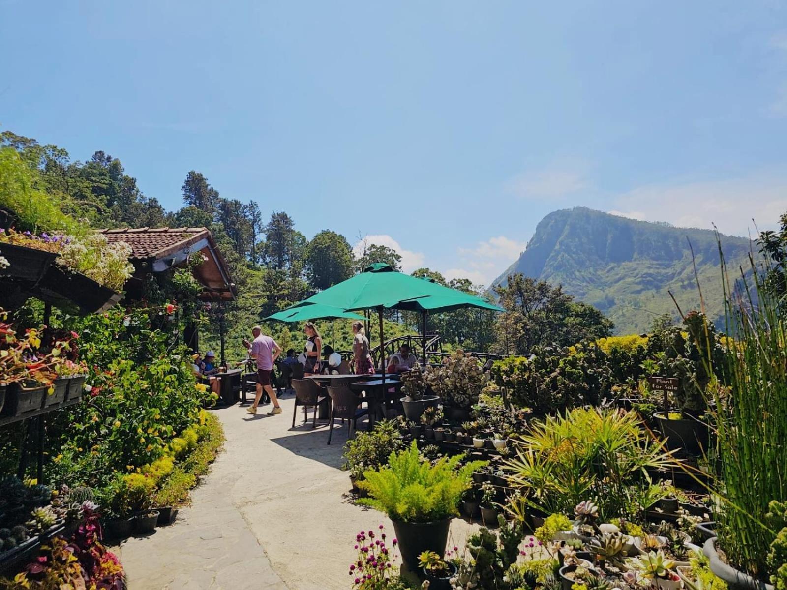 Ella Flower Garden Resort Экстерьер фото