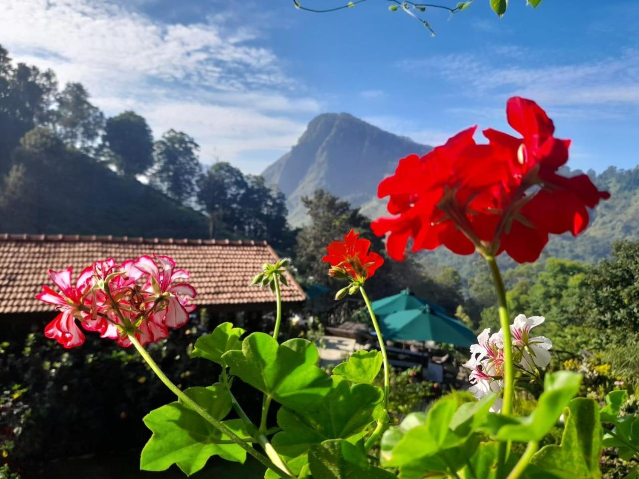Ella Flower Garden Resort Экстерьер фото