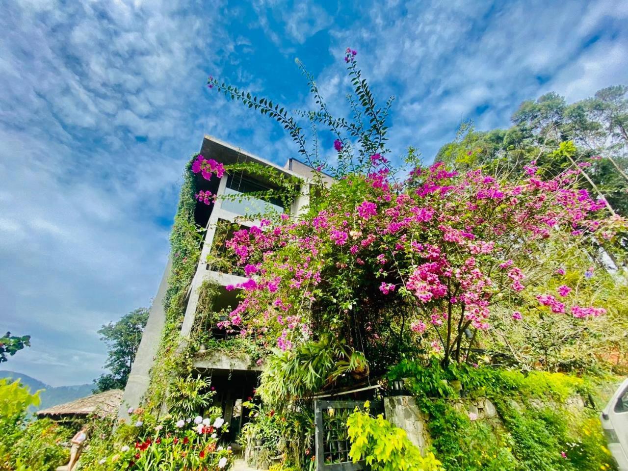 Ella Flower Garden Resort Экстерьер фото